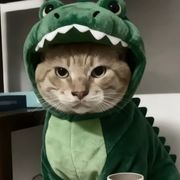 呼呼