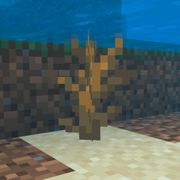 基岩下的活塞臂🌵