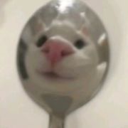 福禄碌碌