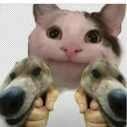 。。。