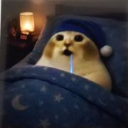 人qwq
