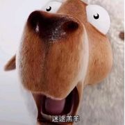 ▷迷途羔羊◁