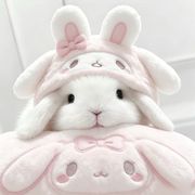 倦意意