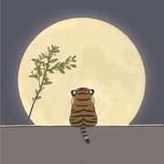 东北小虎