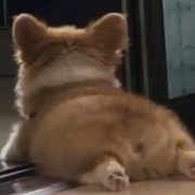 北陌深巷o