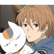 纳兹米南北绿兜