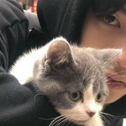 无妄坡坐牢真君