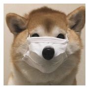 Nimo