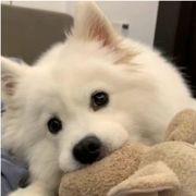 万物不及姑娘游