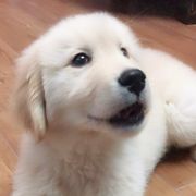 御风漂流