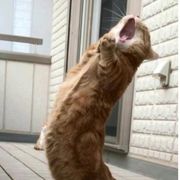 楠楠今天我要出去玩