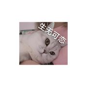 没奇遇的倒霉蛋