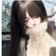 猫猫