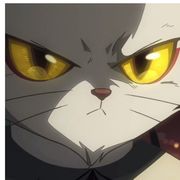 秋月白