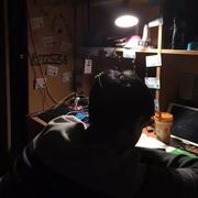 海鸟情诗