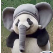 Wen