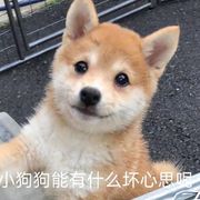 九元
