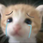 下次见
