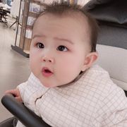 苹果果果果果果果