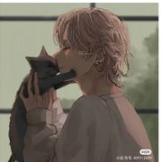 埋葬玫瑰的狐狸