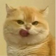 Vickykiki
