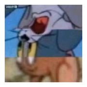 popoyt