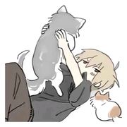 可灯