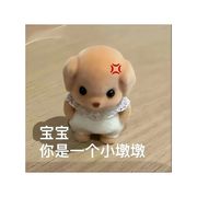 栋倍