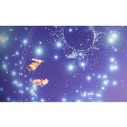 加拿大🇨🇦鹅