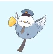 严重失眠的鸽子