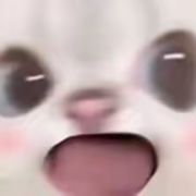 可心怜