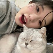 寻青桔