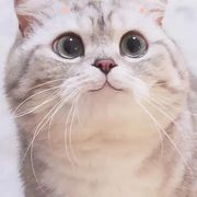 。