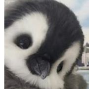 放过我