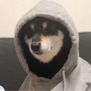 我是一根肠