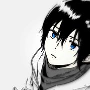 User426647227