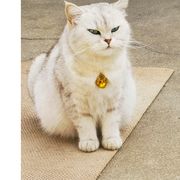 🦋ꦿ᭄໊🕊朝花夕拾᭄ꦿᩚ٭