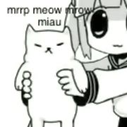 思弦.