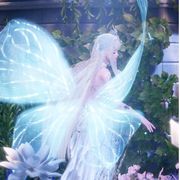 白荼清欢无别事丶