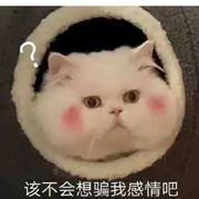 铁甲卡布达