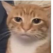 手机用户68593052