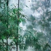碎雨