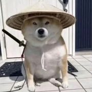 好色的大狗.