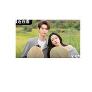 纽币超会玩