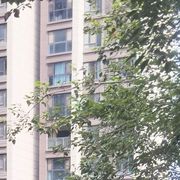 捕盗刘道长