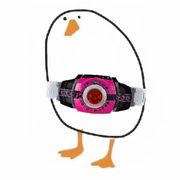 一只路过的鸭子