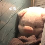 沙黑何时能暴富
