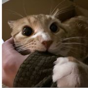 因为太帅被罚站