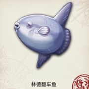 我每天也很拉风