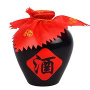 滴酒不沾许仲康